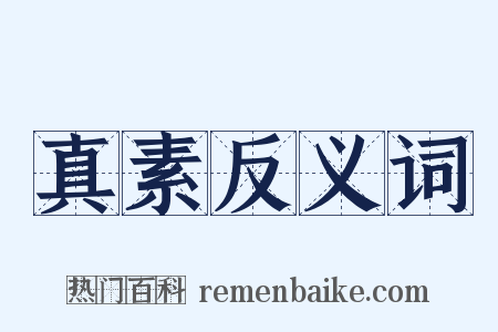 真素反义词是什么意思的图片